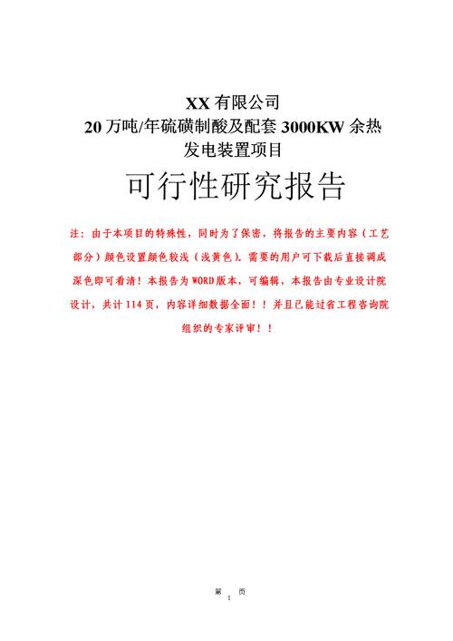 某公司20万吨年硫磺制酸及配套3000kw余热发电装置工程的可行性研究