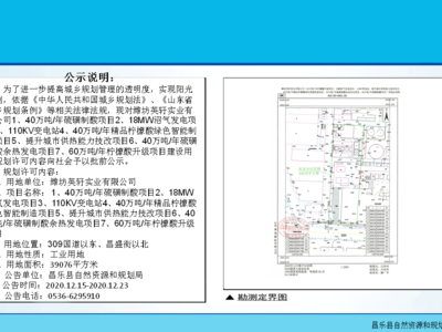 潍坊英轩实业40万吨每年硫磺制酸项目,18MW沼气发电项目